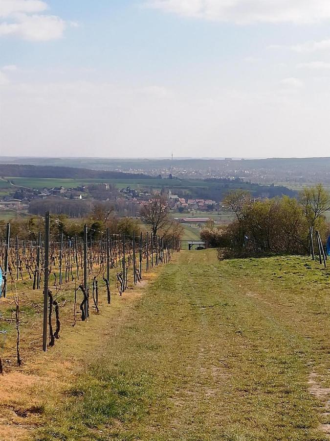 Ferienwohnung Moritzwiese Naumburg  Bagian luar foto